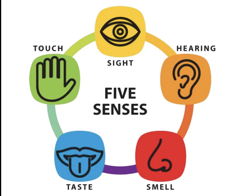 What is the 5 sense (5ST)  therapy